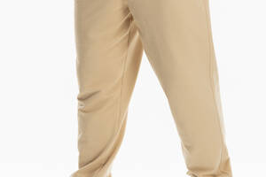 Спортивные штаны мужские Breezy 23203001 L Светло-бежевый (2000989755210)