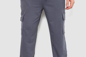 Спортивные штаны мужские двухнитка серый 241R0651-1 Ager L