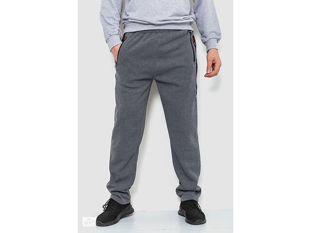 Спортивные штаны мужские на флисе серый 244R41153 Ager L