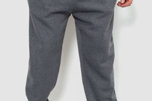 Спортивные штаны мужские на флисе серый 244R4868 Ager 4XL