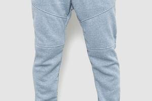 Спортивные штаны мужские на флисе светло-серый 241R002 Ager L