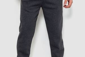 Спортивные штаны мужские на флисе темно-серый 244R41269 Ager XL