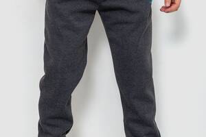 Спортивные штаны мужские на флисе темно-серый 244R4740 Ager XXL
