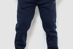 Спортивные штаны мужские на флисе темно-синий 244R4740 Ager XXXL