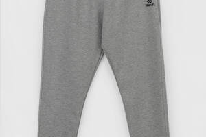 Спортивные штаны мужские Tommy life 84967 L Серый (200098999983620)