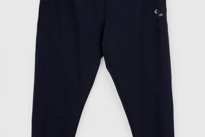 Спортивные штаны мужские Tommy life 84978 2XL Темно-синий (2000989983958)