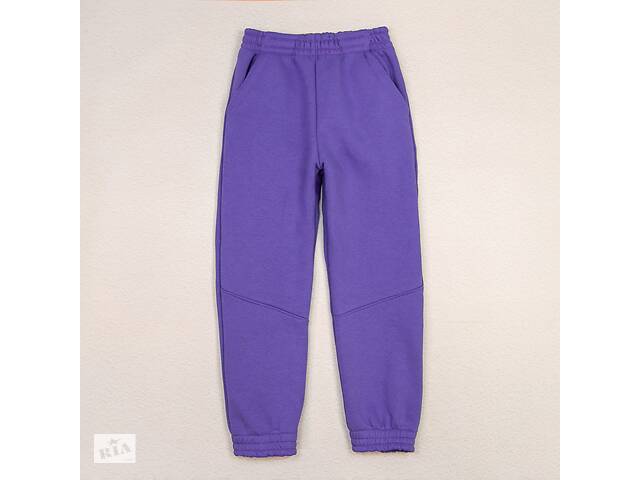 Спортивные штаны тринитка детские Dexter’s 134 см Фиолетовый