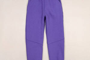 Спортивные штаны тринитка детские Dexter’s 146 см Фиолетовый