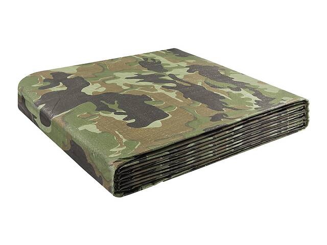 Тент MASTERTOOL 6х8 м 90 г/м² Camouflage (79-8608)