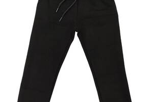 Теплые штаны спортивные Лио черные 116 (4810509)
