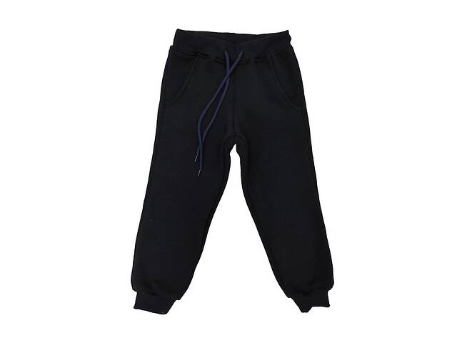 Теплые штаны спортивные Лио синие 80 (4810553)