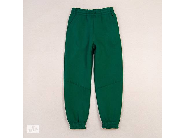 Теплые спортивные штаны Dexter’s emerald 146 см Зеленый