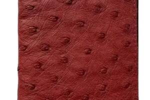 Визитница из кожи страуса Ekzotic Leather Красная (och02)