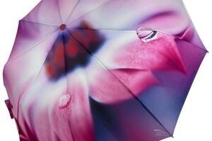 Женский зонт-автомат в подарочной упаковке на 9 спиц с цветочным принтом от Frei Regen розовая ручка 09086-3