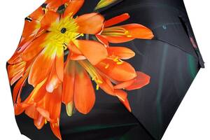 Женский зонт-автомат в подарочной упаковке с платком от Rain Flower черный с оранжевым цветком 01020-1