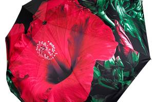 Женский зонт-автомат в подарочной упаковке с платком от Rain Flower черный с красным цветком 01020-4