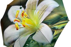 Женский зонт полуавтомат на 9 спиц с цветочным принтом от Frei Regen зеленая ручка 09085-4
