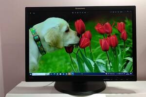 Б/у Монитор Lenovo ThinkVision LT2252pwA | 22' (1680x1050) TN | DVI, VGA, DP, Audio | VESA 100x100