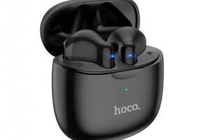 Беспроводные наушники Hoco ES56 TWS Type C Bluetooth V5.1 30/320mAh 4h помощник Siri LED индикатор Black