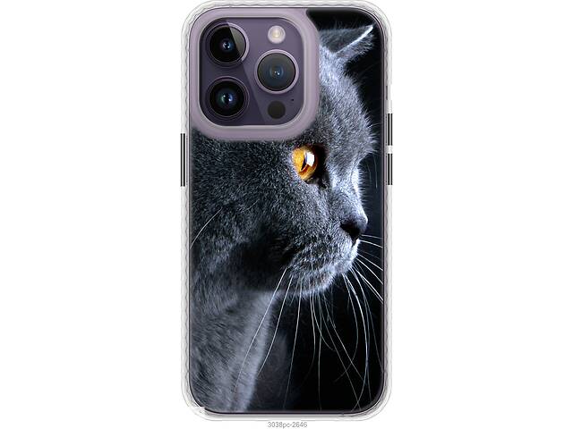 Чехол бампер magsafe EndorPhone iPhone 14 Pro Красивый кот (3038pm-2646-26985)