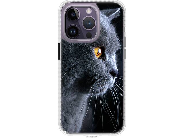 Чехол бампер magsafe EndorPhone iPhone 14 Pro Max Красивый кот (3038pm-2667-26985)