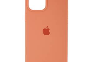 Чехол Original Full Size для Apple iPhone 12 Pro Max Watermelon