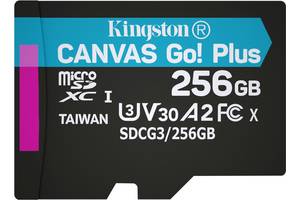 Карта памяти Kingston microSDXC 256GB Canvas Go+ U3 V30 (SDCG3/256GBSP)