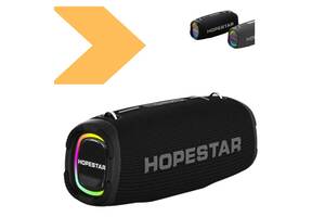 Колонка Hopestar A40 70W з мікрофоном, чорний (42811-A40_3218)