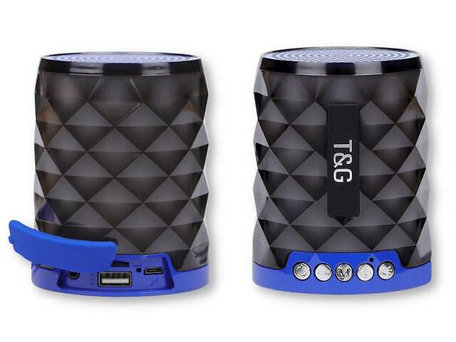 Колонка портативная T&G TG155 10Вт USB, AUX, FM, Bluetooth синяя (ЦУ-00034843)