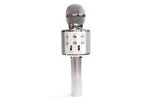 Микрофон для караоке с подсветкой MK2L Silver SKL25-223371