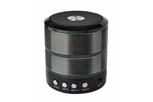 Портативная колонка XPRO WS 887 аккумуляторная с USB, SD, Bluetooth, FM черный (WS 887 bluetooth)