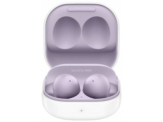 Samsung Бездротові навушники Galaxy Buds 2 (R177)