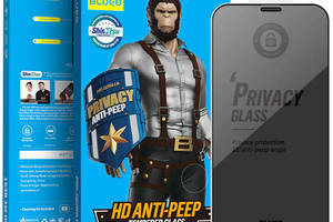 Защитное 2.5D стекло Blueo Full Cover Anti-Peep Apple iPhone 12 Pro / 12 6.1' Черный