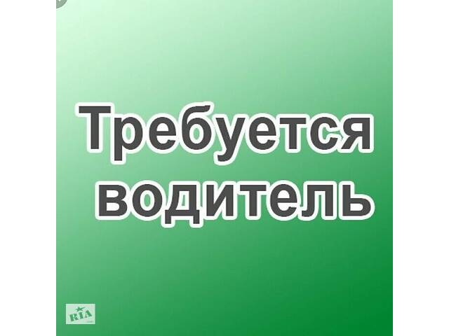 Водій на бус категорії В