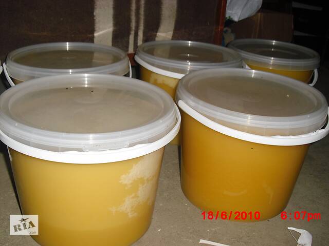 Продам натуральный мед со своей пасеки. 150 грн.