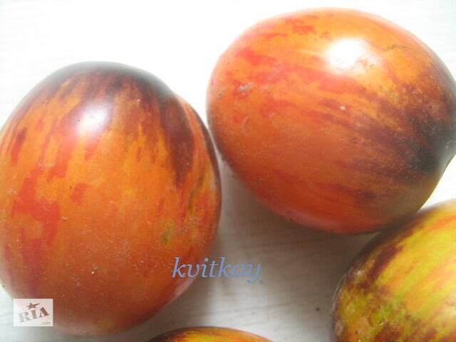 Семена сортових томатів - Фото 2