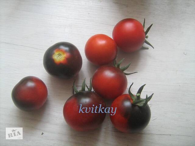 Семена сортових томатів - Фото 4