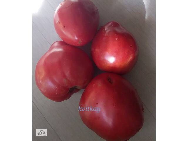 Семена сортових томатів - Фото 10