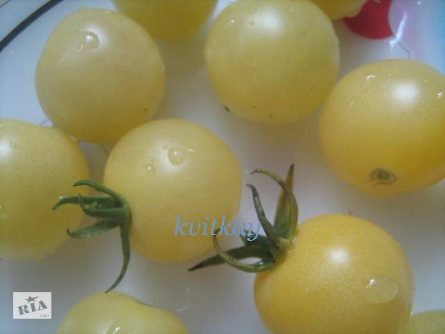 Семена сортових томатів - Фото 13