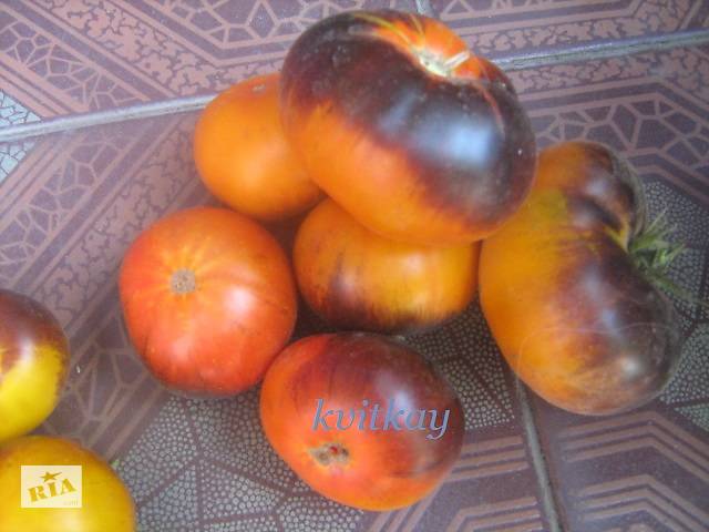 Семена сортових томатів - Фото 14