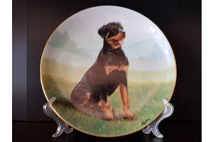 Продам фарфоровую тарелку с разными породами собак.