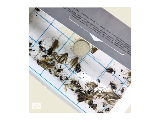 Средство от тараканов набор ТАР-ГАН - Фото 2