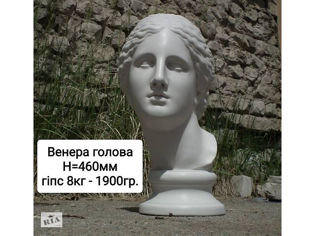 Венера гіпс голова скульптура