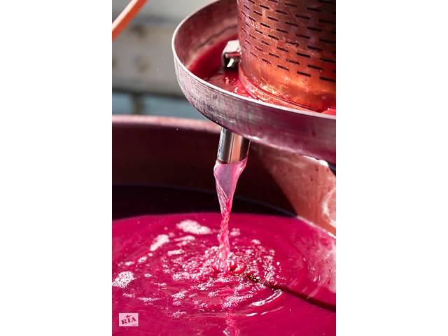 Продам виноградний сік - Фото 1