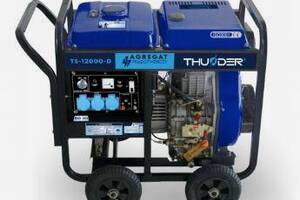 Дизельный генератор THUNDER TS-12000-D Купи уже сегодня!