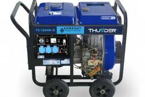 Дизельный генератор THUNDER TS-12000-D