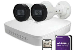 Комплект IP видеонаблюдения Dahua IP KIT 2x4MP OUTDOOR + HDD 1 TB