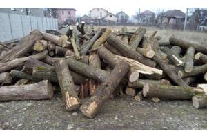 Купуйте метрові дрова Рожище | купити колоті дрова