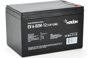 Тяговая аккумуляторная батарея Merlion EV 6-DZM-12, 12V 12Ah M5 (151*98*95 (100)),4.0 kg Q3