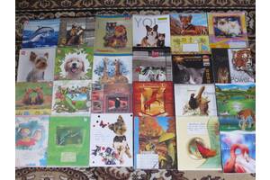 Зошити учнівські в клітинку для чернеток